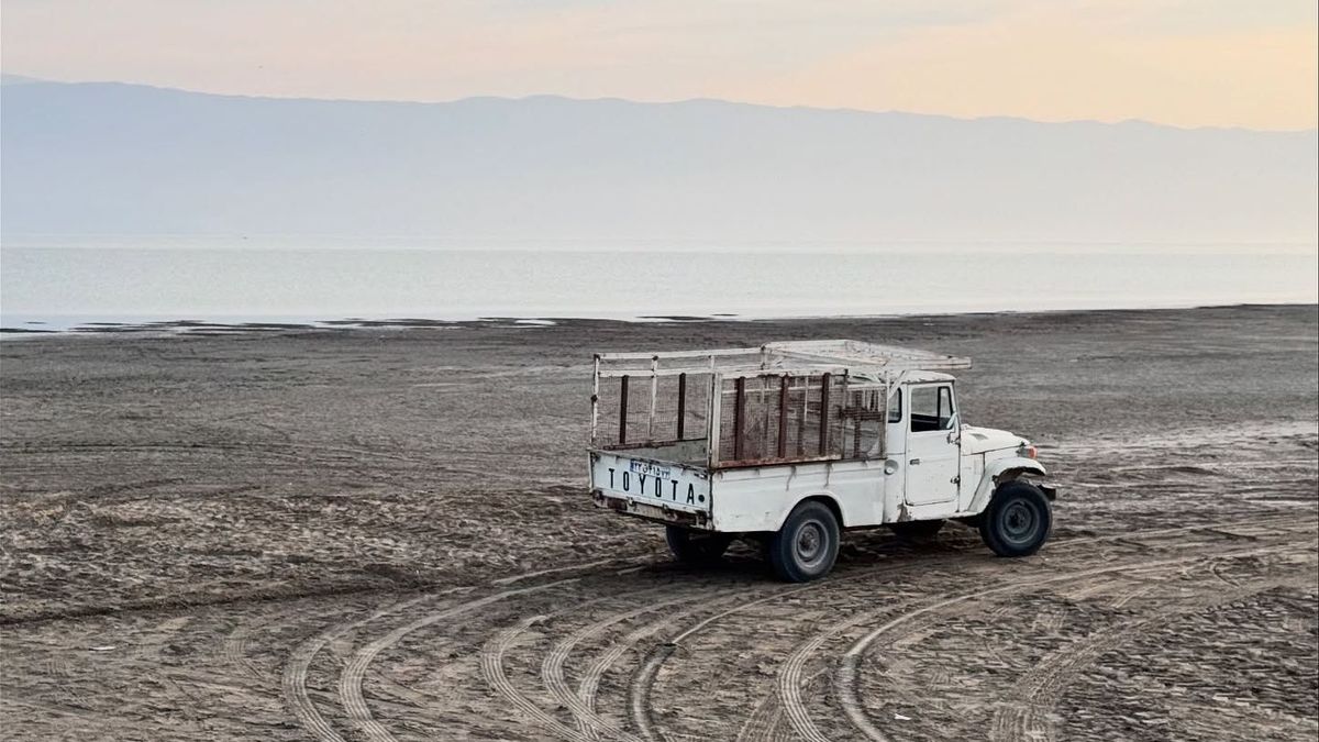  �������� ������ ������� ��������� ������ ������� ����� 